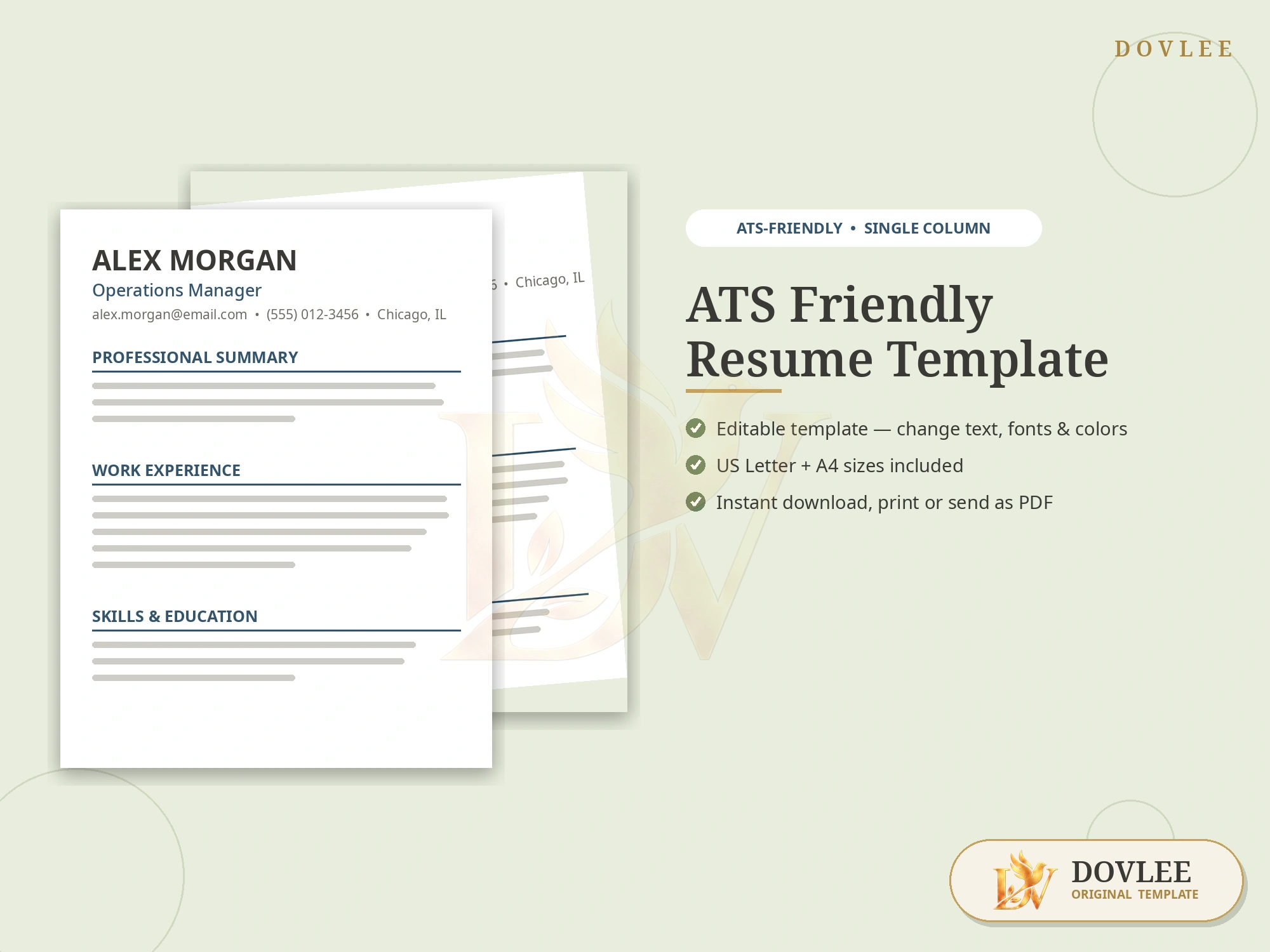 ATS Friendly Resume Template styled digital product preview