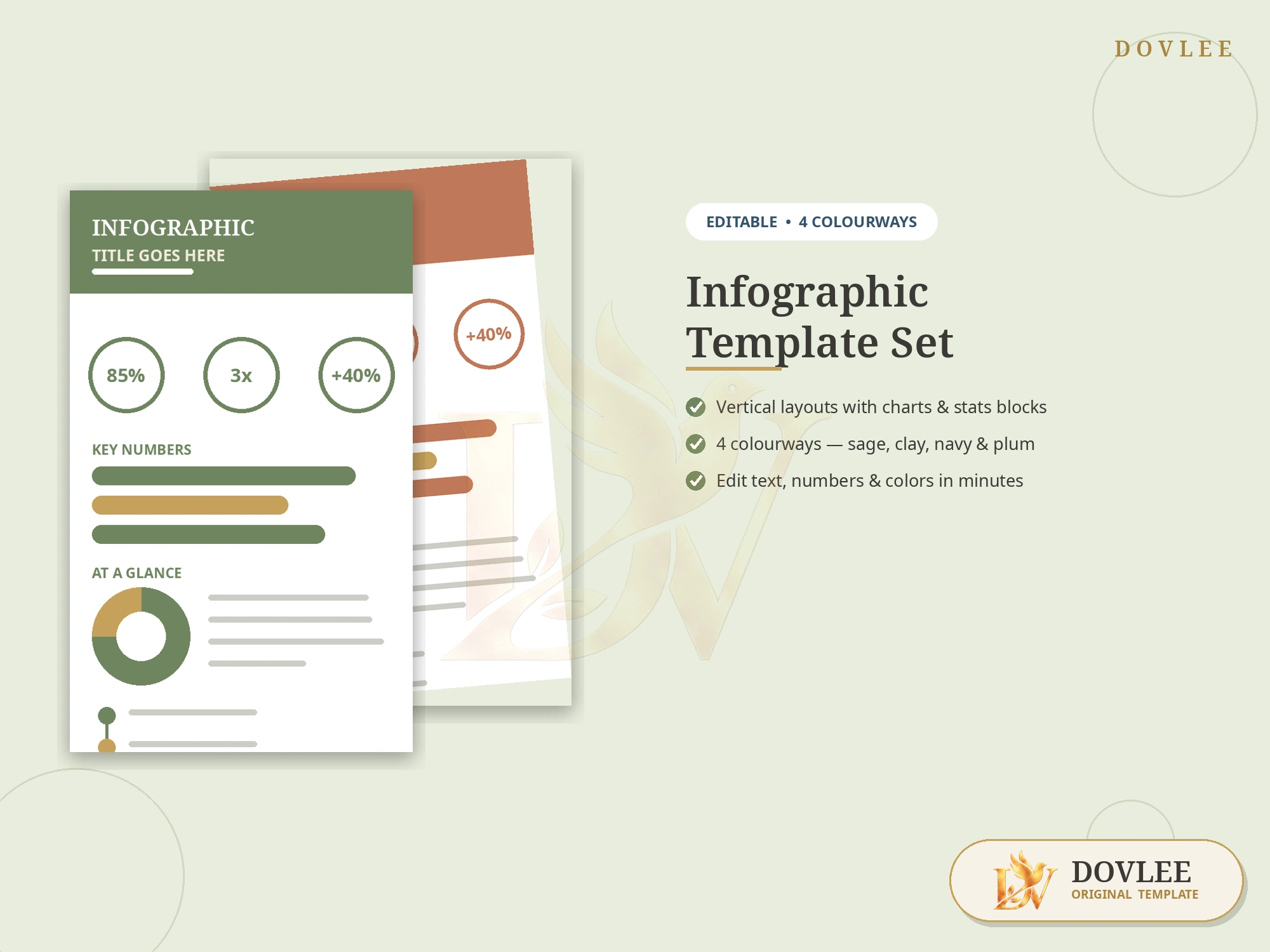 Infographic Template Set (Editable) styled digital product preview
