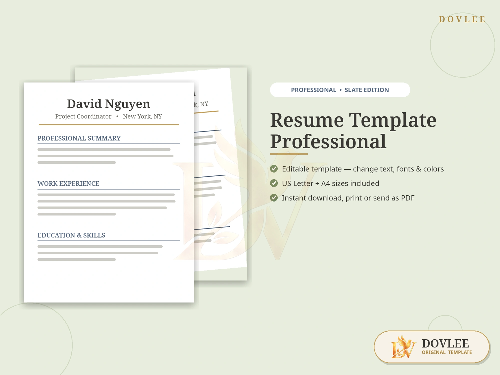 Resume Template Professional styled digital product preview